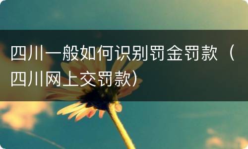 四川一般如何识别罚金罚款（四川网上交罚款）
