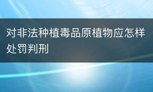 对非法种植毒品原植物应怎样处罚判刑