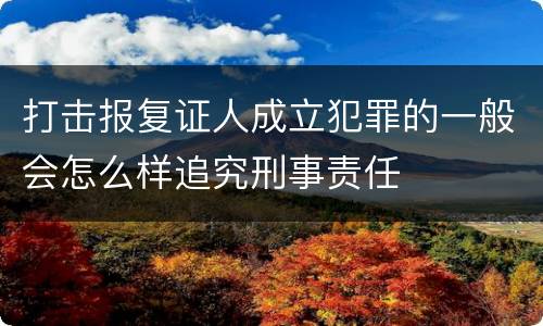 打击报复证人成立犯罪的一般会怎么样追究刑事责任