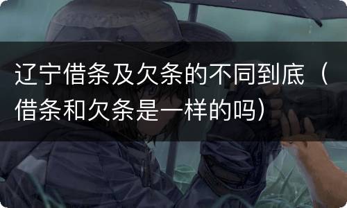 辽宁借条及欠条的不同到底（借条和欠条是一样的吗）