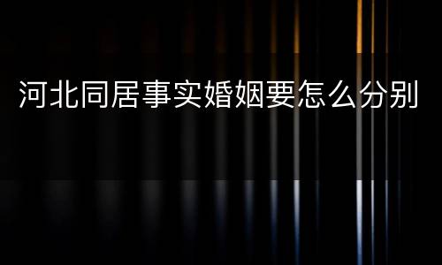 河北同居事实婚姻要怎么分别