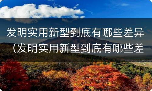 发明实用新型到底有哪些差异（发明实用新型到底有哪些差异和不足）