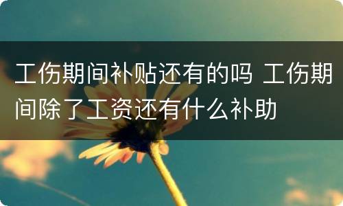 工伤期间补贴还有的吗 工伤期间除了工资还有什么补助