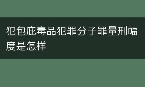 犯包庇毒品犯罪分子罪量刑幅度是怎样