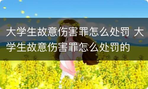 大学生故意伤害罪怎么处罚 大学生故意伤害罪怎么处罚的