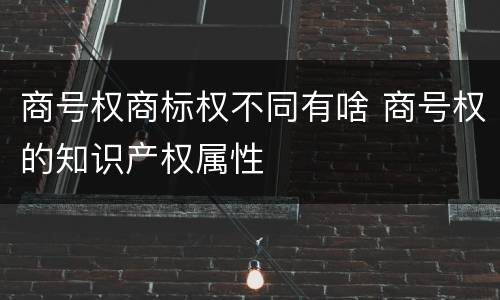 商号权商标权不同有啥 商号权的知识产权属性