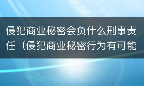 侵犯商业秘密会负什么刑事责任（侵犯商业秘密行为有可能承担哪些法律责任）