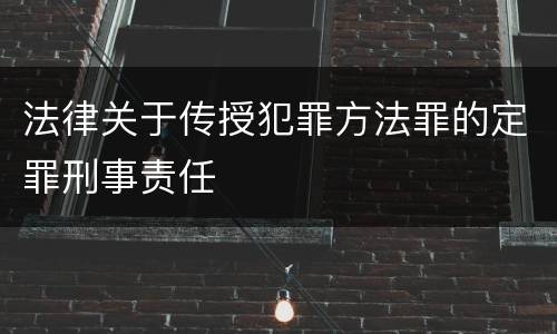 法律关于传授犯罪方法罪的定罪刑事责任