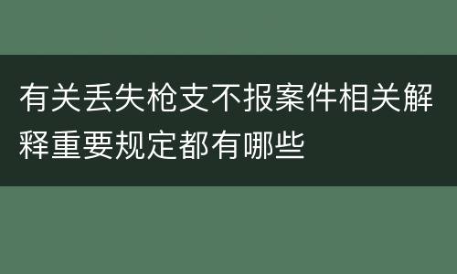 有关丢失枪支不报案件相关解释重要规定都有哪些