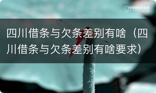 四川借条与欠条差别有啥（四川借条与欠条差别有啥要求）