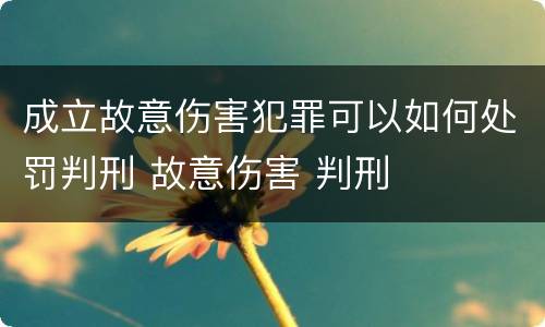 成立故意伤害犯罪可以如何处罚判刑 故意伤害 判刑