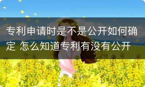 专利申请时是不是公开如何确定 怎么知道专利有没有公开