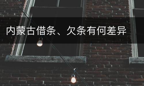 内蒙古借条、欠条有何差异