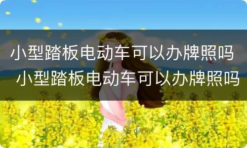 小型踏板电动车可以办牌照吗 小型踏板电动车可以办牌照吗多少钱