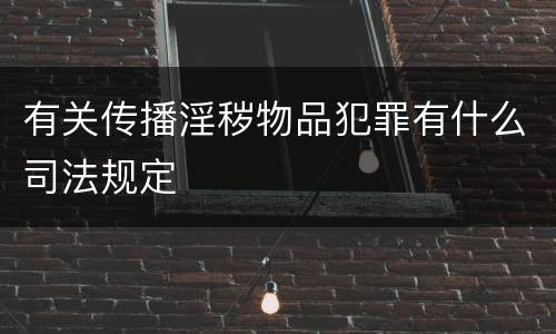 有关传播淫秽物品犯罪有什么司法规定