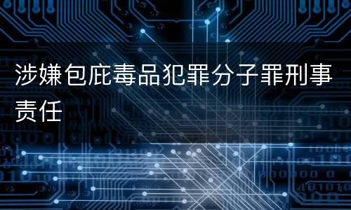 涉嫌包庇毒品犯罪分子罪刑事责任