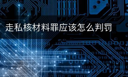 走私核材料罪应该怎么判罚