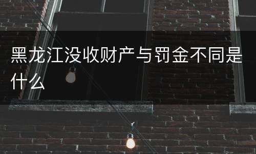 黑龙江没收财产与罚金不同是什么