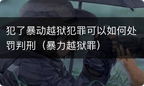 犯了暴动越狱犯罪可以如何处罚判刑（暴力越狱罪）
