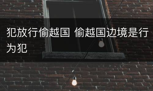 犯放行偷越国 偷越国边境是行为犯
