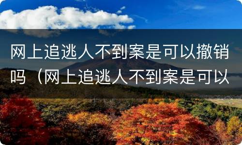 网上追逃人不到案是可以撤销吗（网上追逃人不到案是可以撤销吗怎么办）