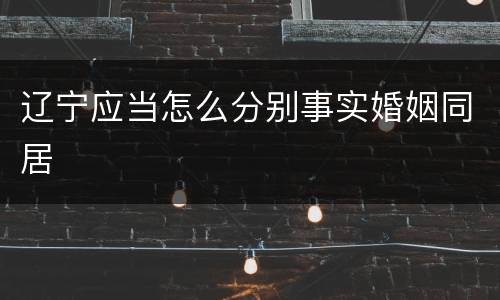 辽宁应当怎么分别事实婚姻同居