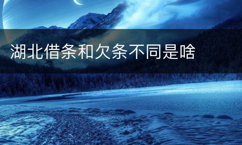 湖北借条和欠条不同是啥