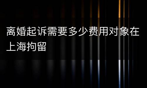 离婚起诉需要多少费用对象在上海拘留