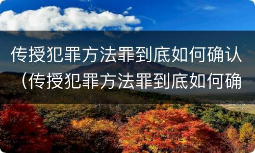 传授犯罪方法罪到底如何确认（传授犯罪方法罪到底如何确认罪名）