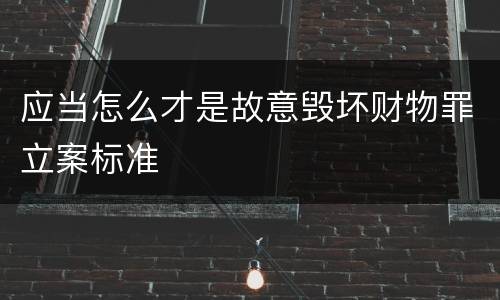 应当怎么才是故意毁坏财物罪立案标准