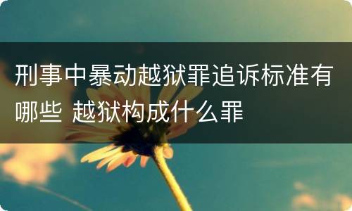 刑事中暴动越狱罪追诉标准有哪些 越狱构成什么罪