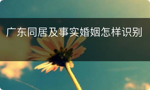 广东同居及事实婚姻怎样识别