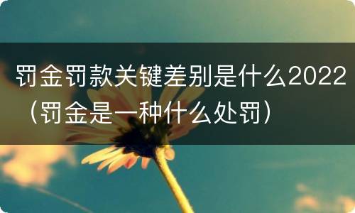 罚金罚款关键差别是什么2022（罚金是一种什么处罚）