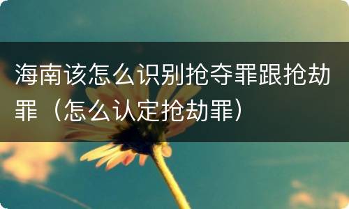 海南该怎么识别抢夺罪跟抢劫罪（怎么认定抢劫罪）