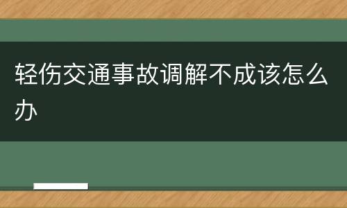轻伤交通事故调解不成该怎么办