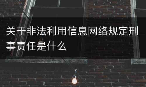 关于非法利用信息网络规定刑事责任是什么
