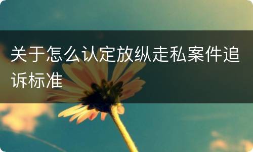 关于怎么认定放纵走私案件追诉标准