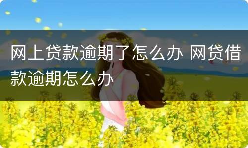 网上贷款逾期了怎么办 网贷借款逾期怎么办