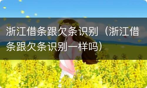 浙江借条跟欠条识别（浙江借条跟欠条识别一样吗）