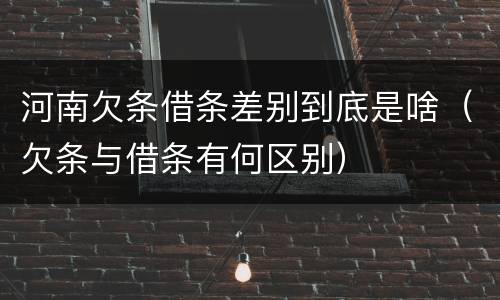 河南欠条借条差别到底是啥（欠条与借条有何区别）