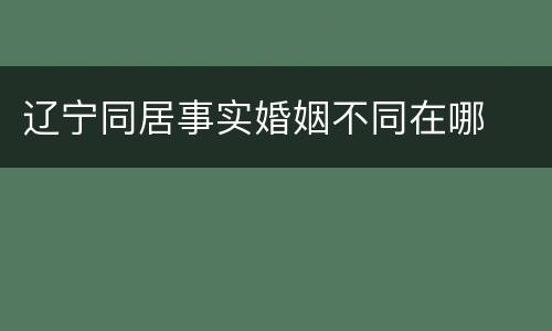 辽宁同居事实婚姻不同在哪