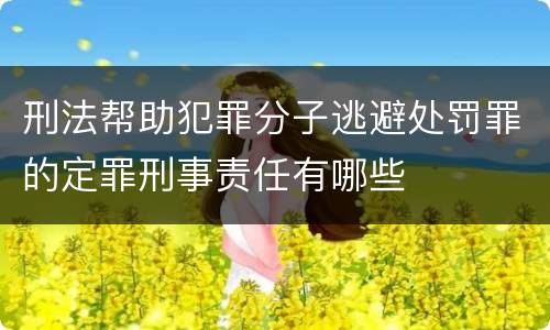 刑法帮助犯罪分子逃避处罚罪的定罪刑事责任有哪些