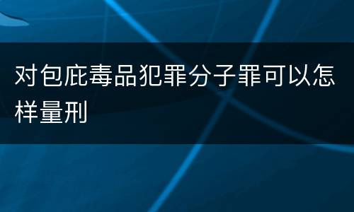 对包庇毒品犯罪分子罪可以怎样量刑