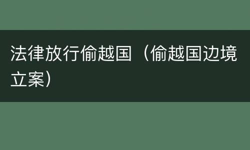 法律放行偷越国（偷越国边境立案）