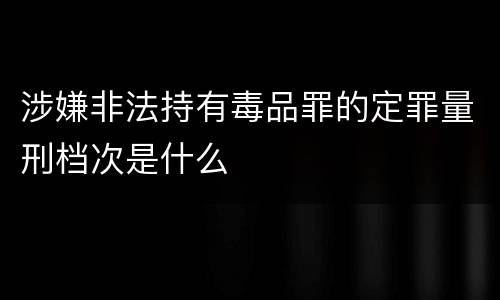 涉嫌非法持有毒品罪的定罪量刑档次是什么