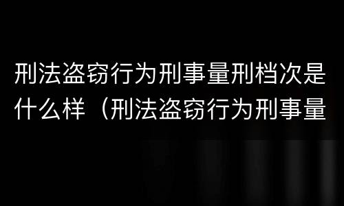 刑法盗窃行为刑事量刑档次是什么样（刑法盗窃行为刑事量刑档次是什么样的）