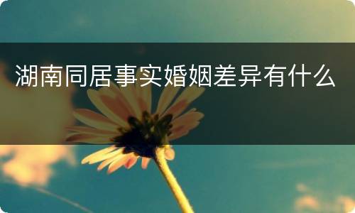 湖南同居事实婚姻差异有什么