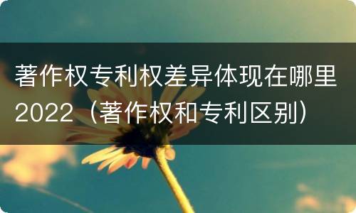 著作权专利权差异体现在哪里2022（著作权和专利区别）