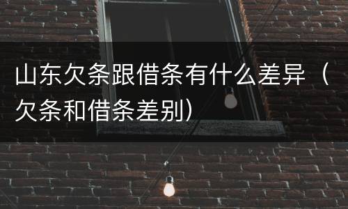 山东欠条跟借条有什么差异（欠条和借条差别）