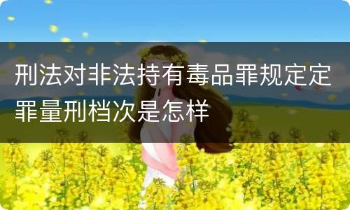 刑法对非法持有毒品罪规定定罪量刑档次是怎样